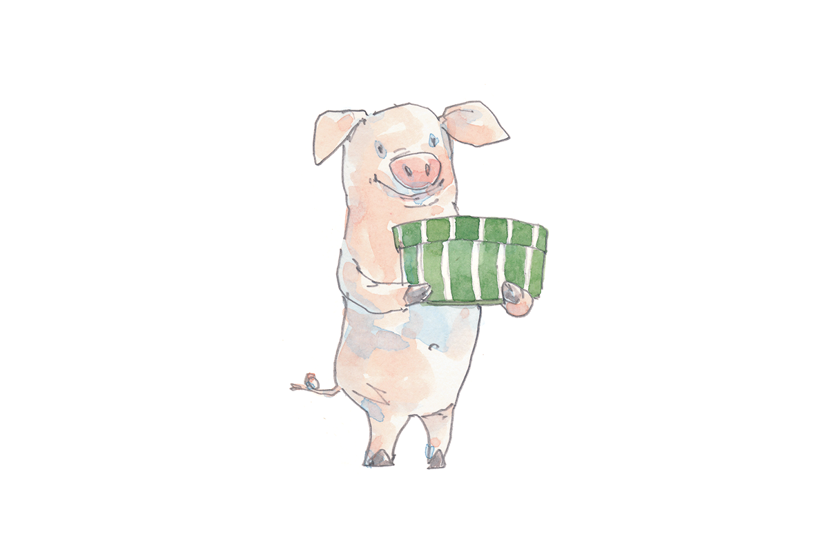 Ilustração. Um porco rosa sobre as patas traseiras. Segura a caixa verde com as patas dianteiras.