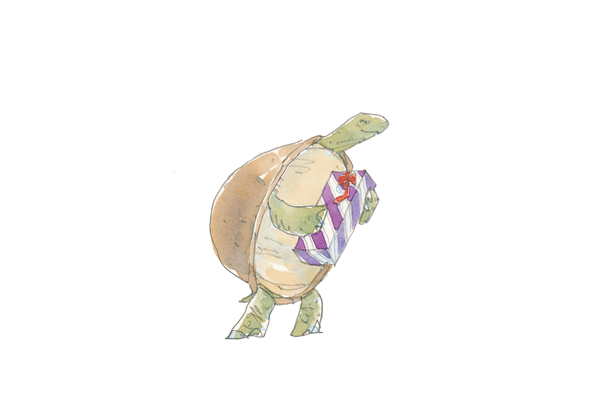 Ilustração. Uma tartaruga verde com casco marrom sobre as patas traseiras. Segura a caixa retangular com as patas dianteiras.