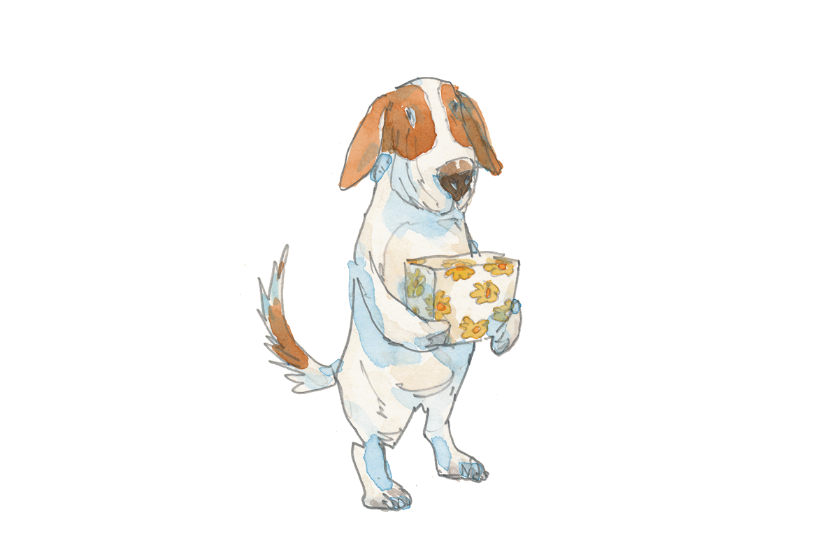 Ilustração. Um cachorro branco com manchas marrons sobre as patas traseiras. Segura a caixa com as patas dianteiras.