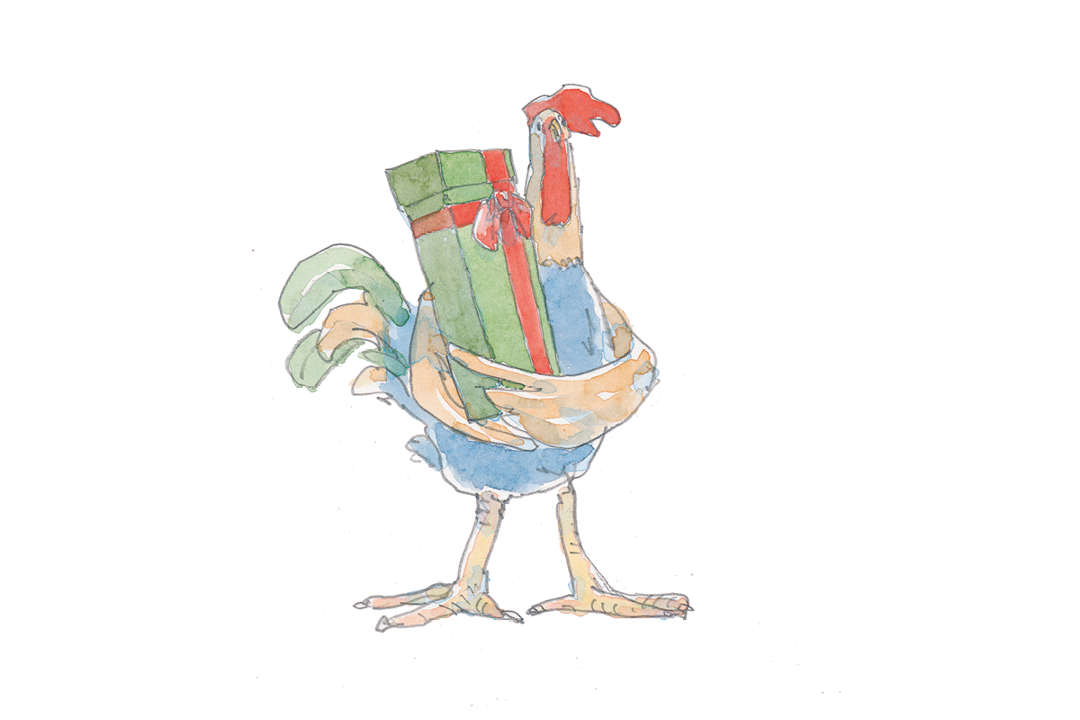 Ilustração. Um galo com penas marrons e azuis e topete vermelho, segura a caixa retangular com as asas. 